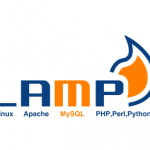 linux-apache-mysql-php-perl-python-ubuntu-server-hosting-database-custom-free-tutorial-guide